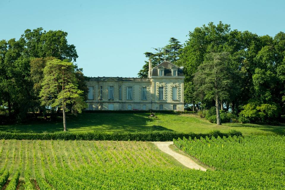 Vue sur les vignes