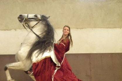 Dressage équestre