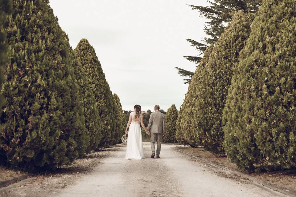 L'entrée