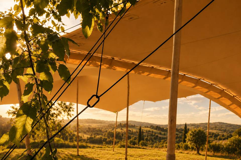 Au coeur de la Provence