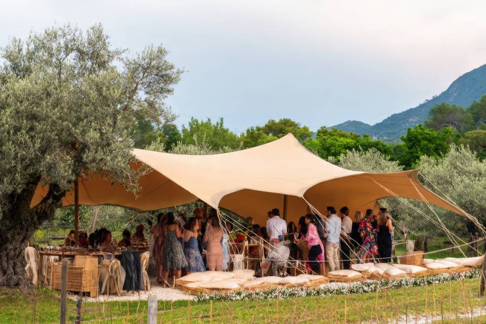 Déjeuner Alpilles