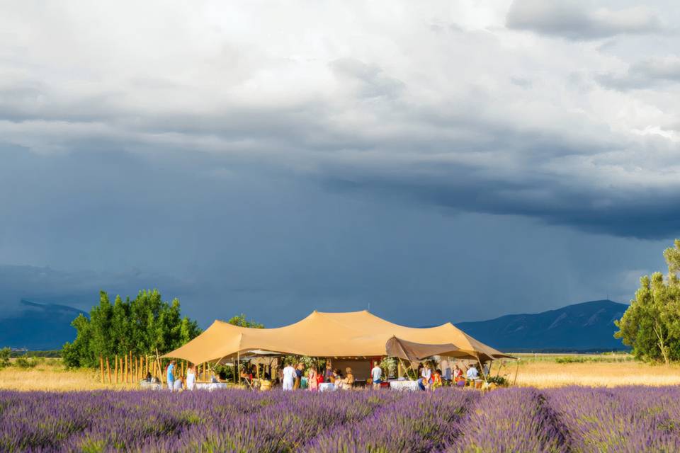 Mariage Provence