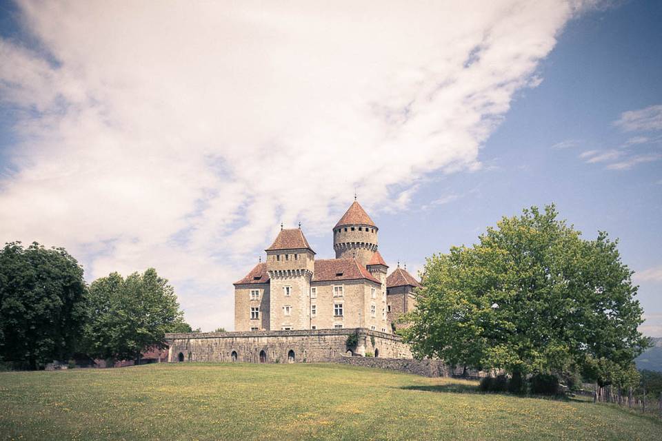 Le château depuis la prairie