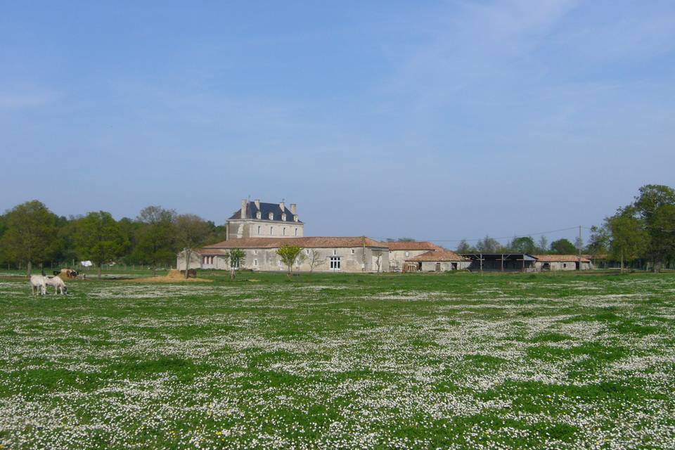 Mariage au domaine