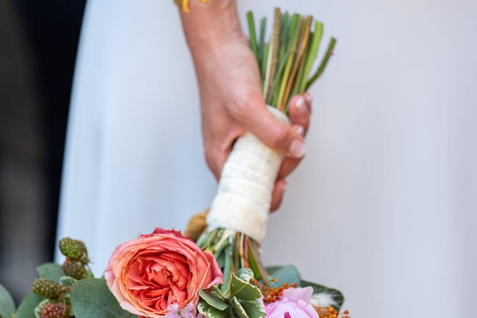 Cécile Boucher Photographie