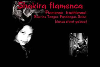 Shakira Flamenca Logo