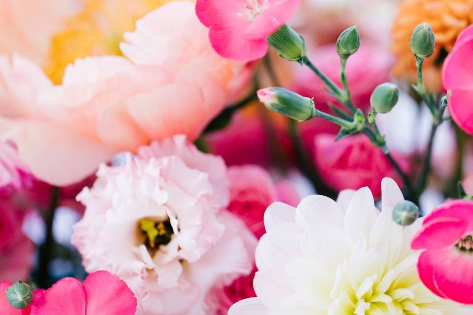 Fleurs colorées mariage