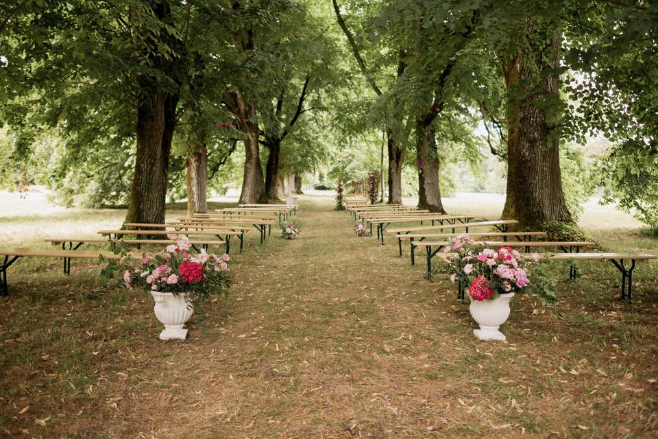 Entrée de cérémonie
