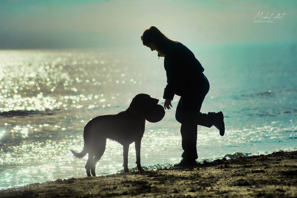 Animaux