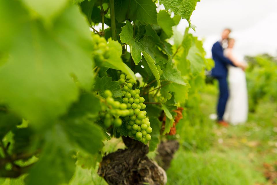 Le VIN, notre métier