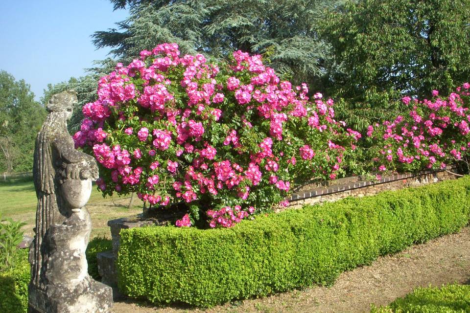 L'allée des rosiers