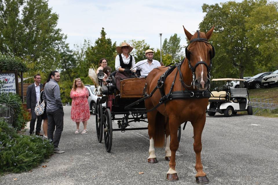 Mariage champêtre - Montpezat