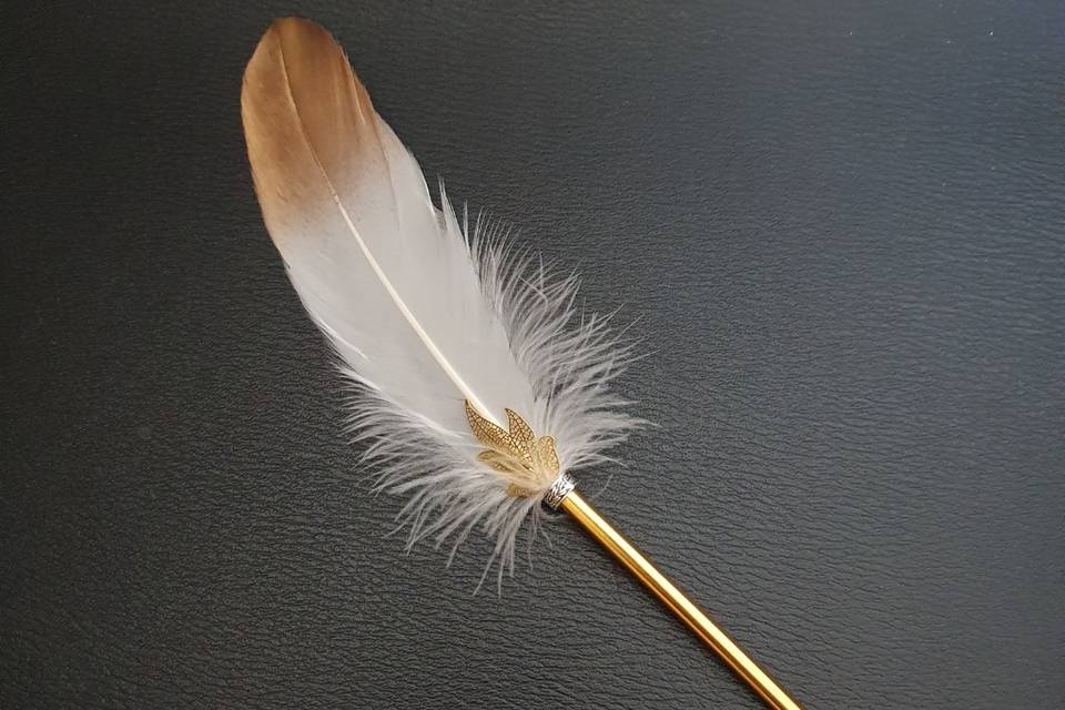 Plume livre d'or