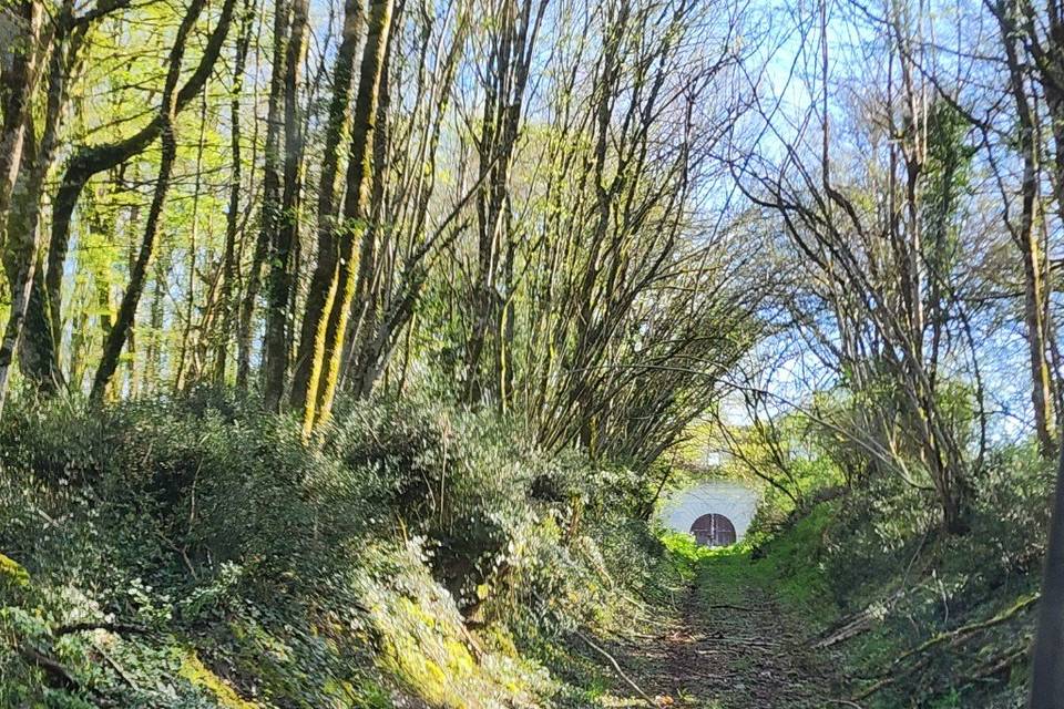 Chemin d'accès au château