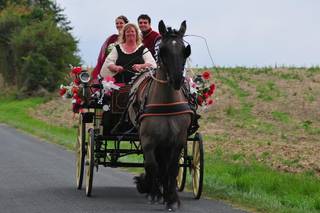 Les Calèches d'Annika