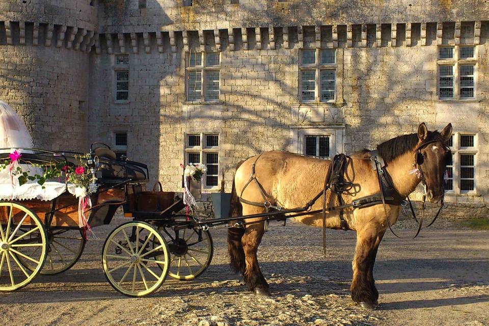 Mariage au château