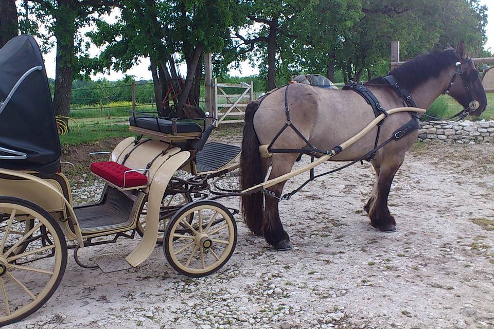 Mariage au château