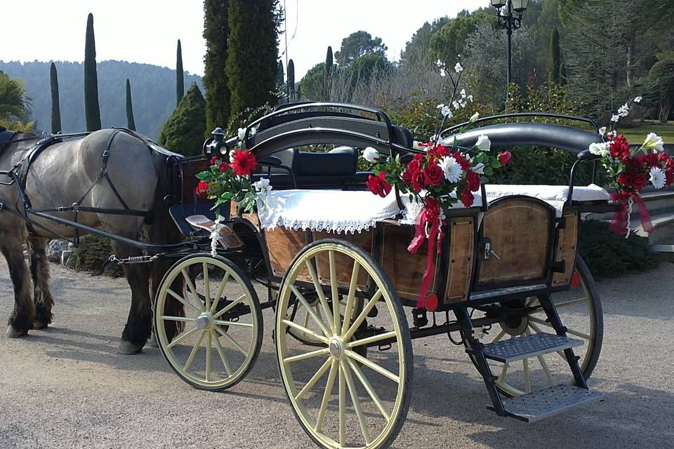 Les Calèches d'Annika