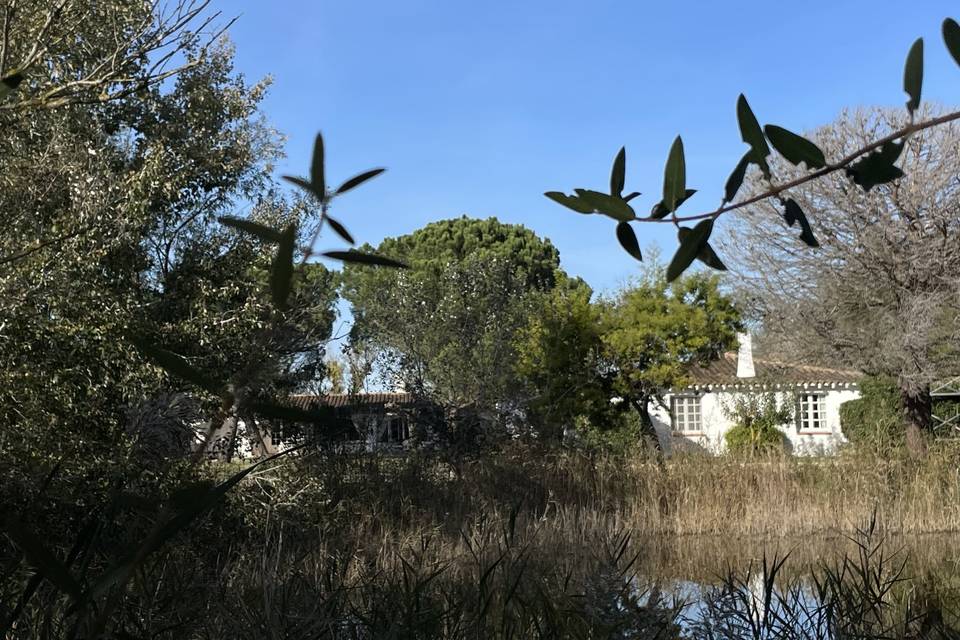 Etangs