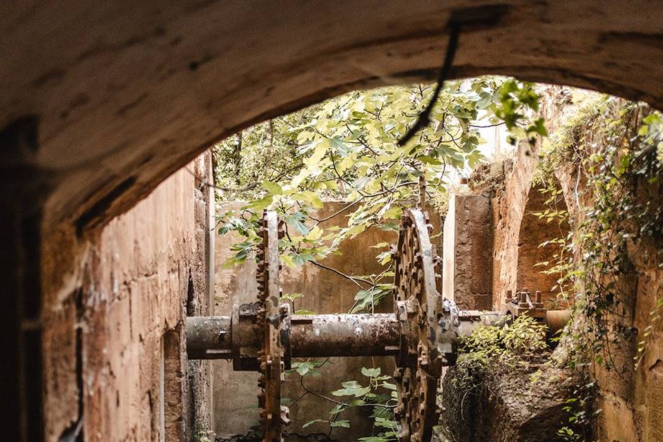 Domaine