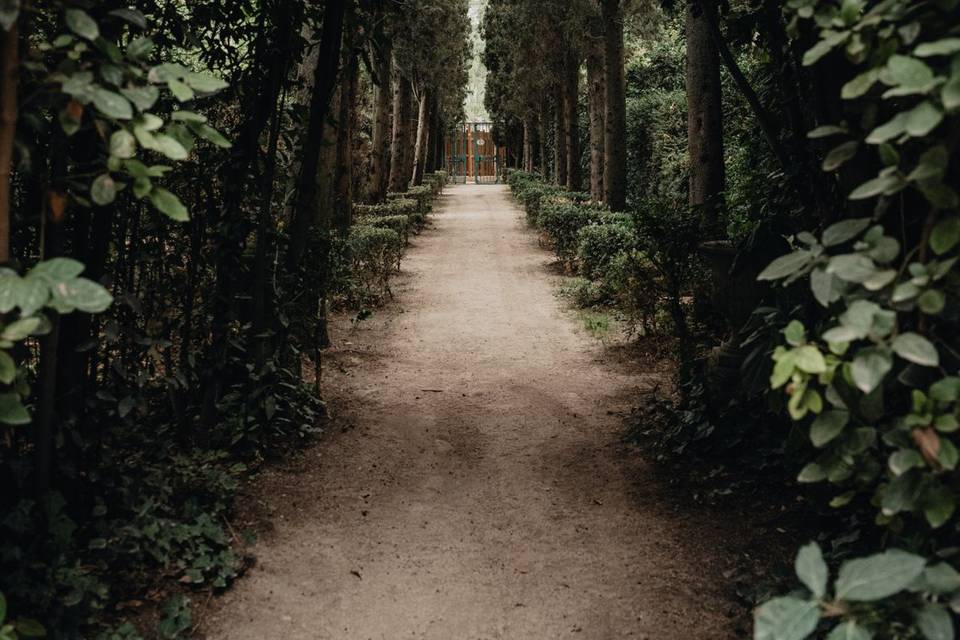 Allée