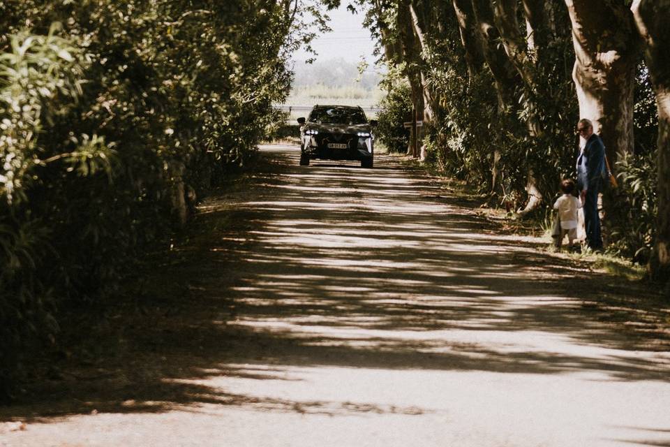 Allée d'arrivée au domaine