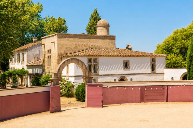 L'arène