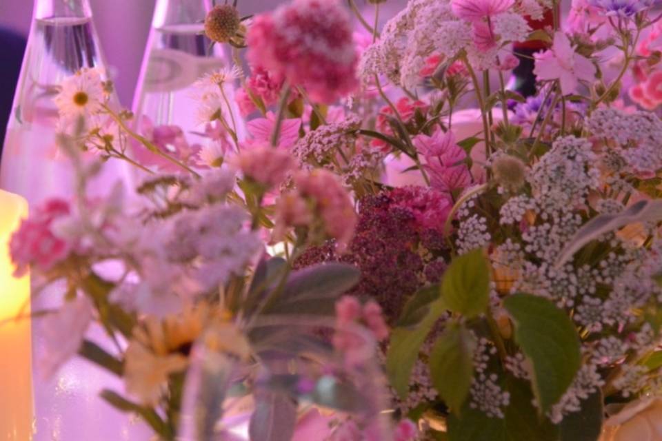 Fleurs