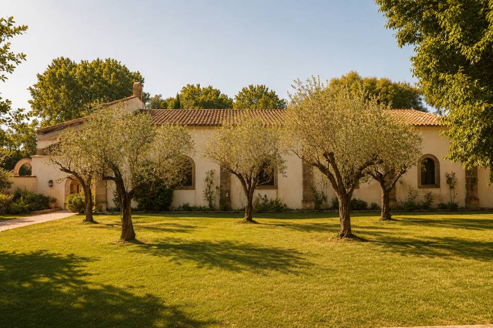 La petite oliveraie
