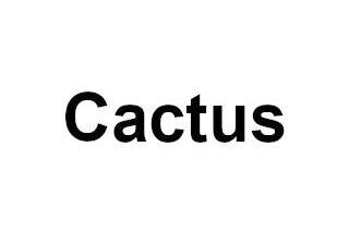 Cactus