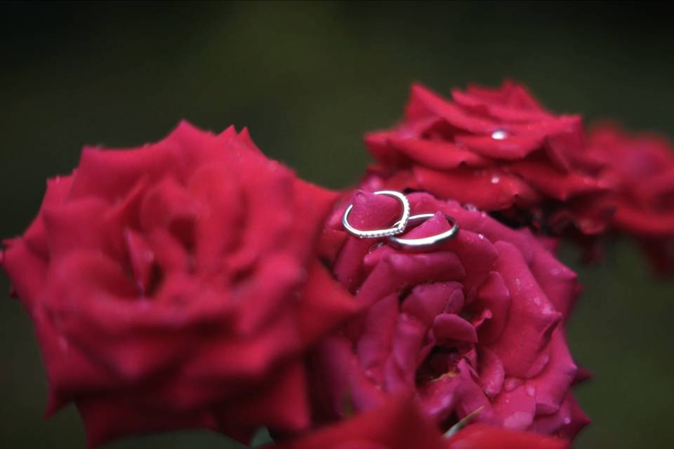 Vidéo de mariage