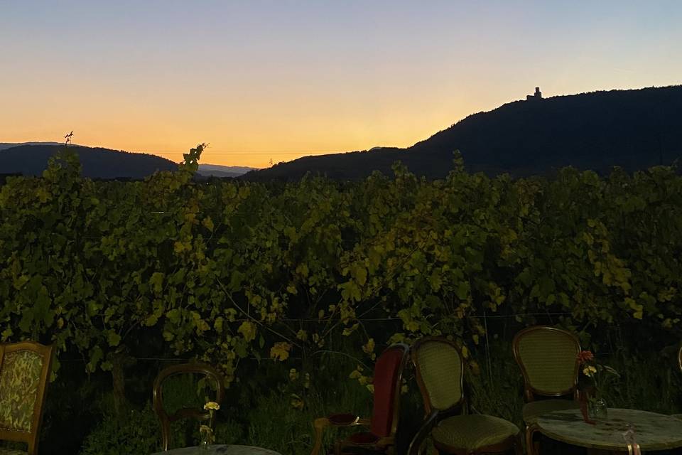 La vue