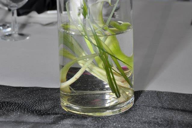 Décoration vase