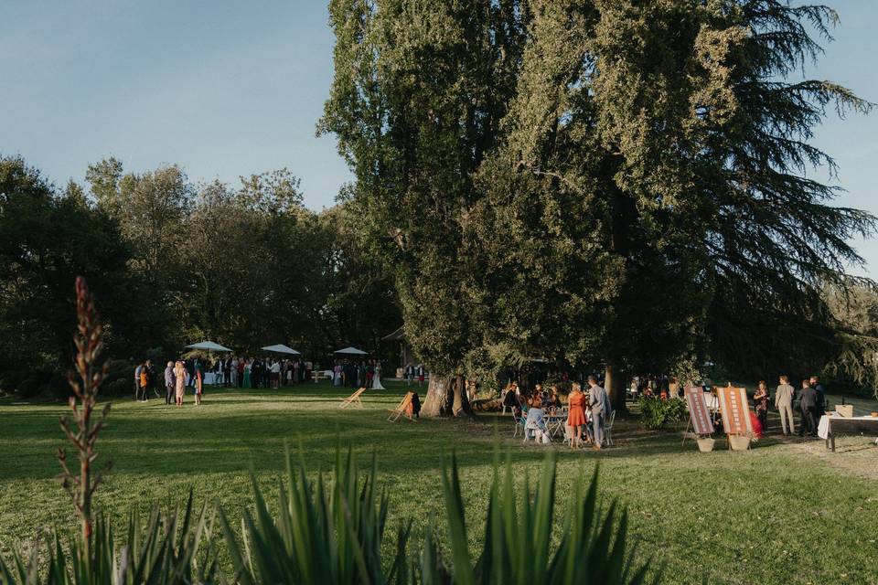 Cocktail dans le parc