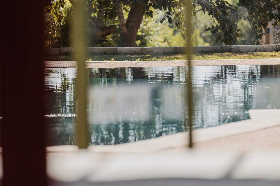Vue sur piscine du Brunch