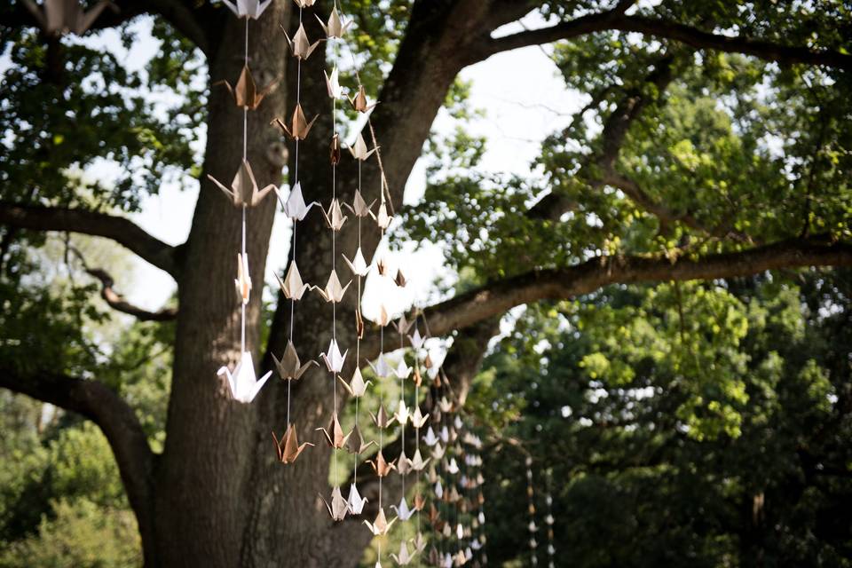 Lucie Nicolas - Photographe Mariage