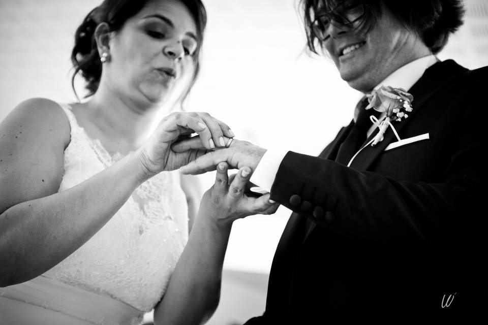 Lucie Nicolas - Photographe Mariage