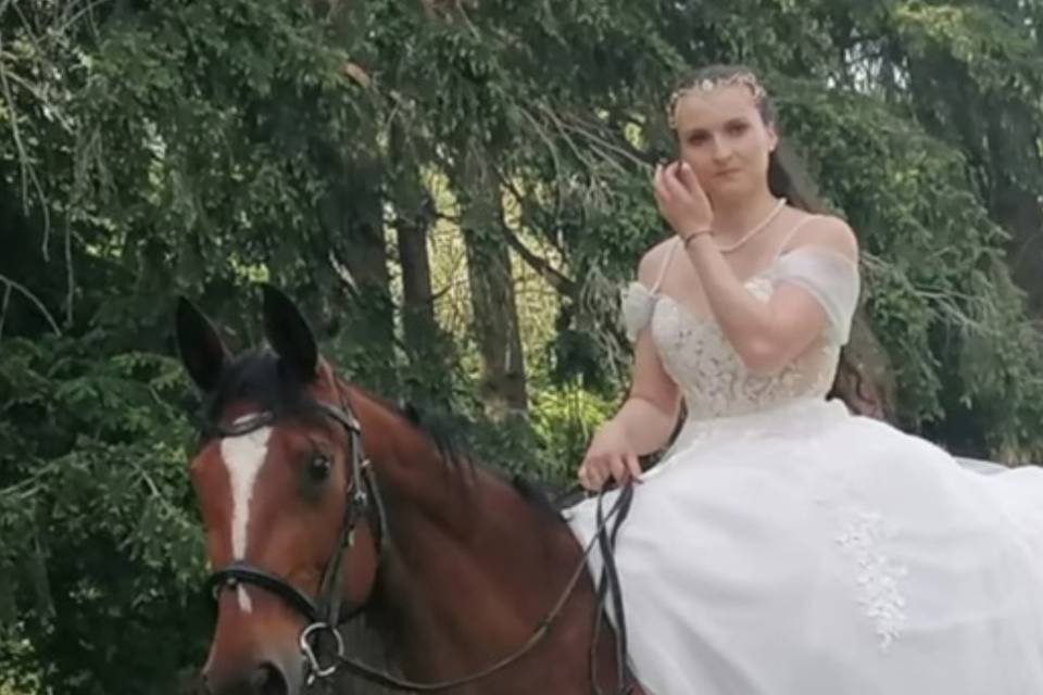 L'arrivée de la mariée