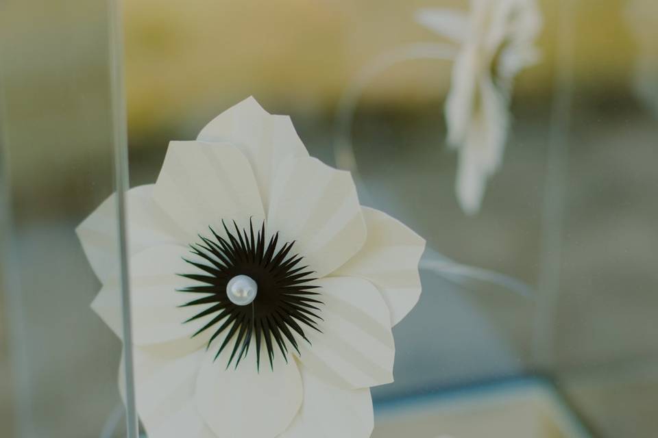 Décoration sous cloche