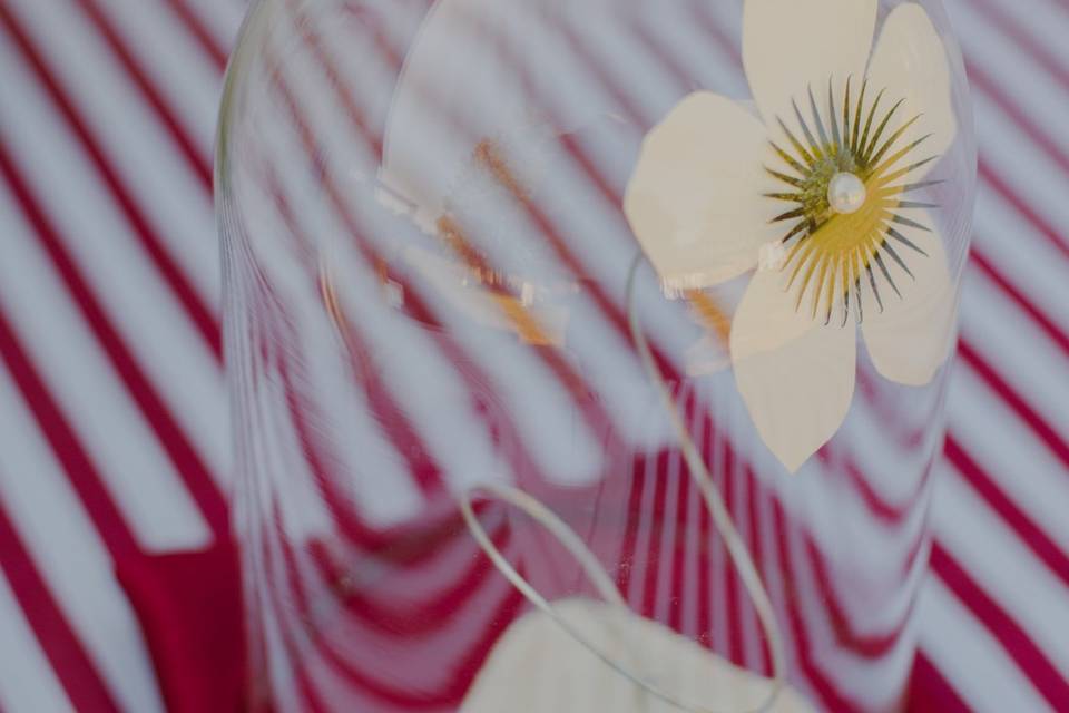 Décoration sous cloche