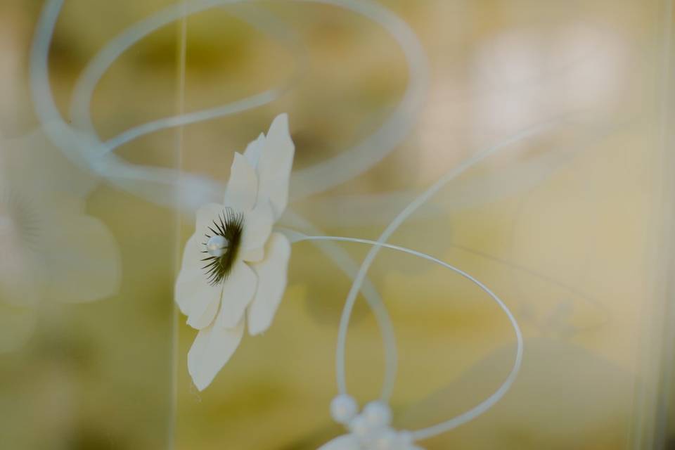Décoration sous cloche