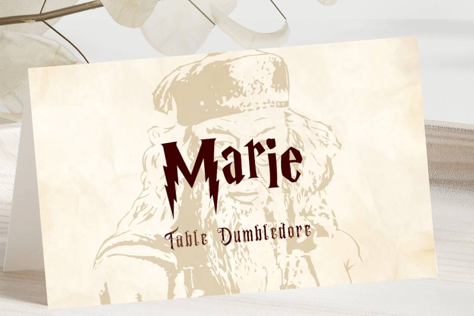 Marque-place Harry Potter