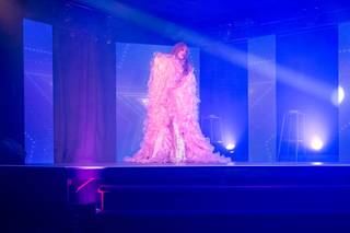 Miss Caline Transformiste