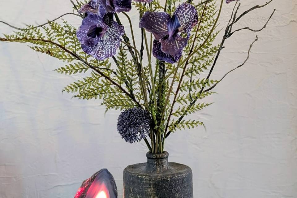 Vanda