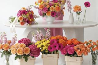 Monsieur Flower