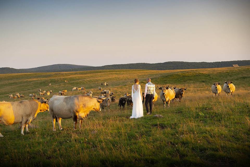 Photo mariés terre d'Aubrac