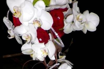 Cascade d'orchidées