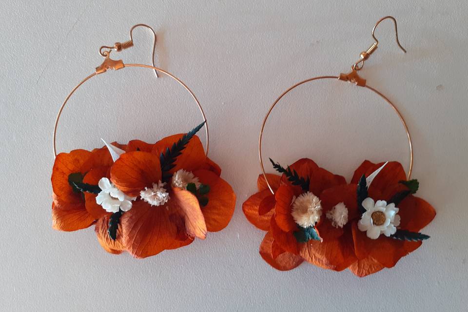 Boucles d'oreilles