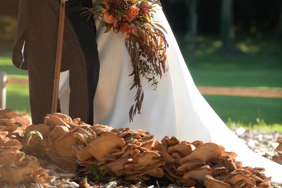 Photographe de Mariage Rennes