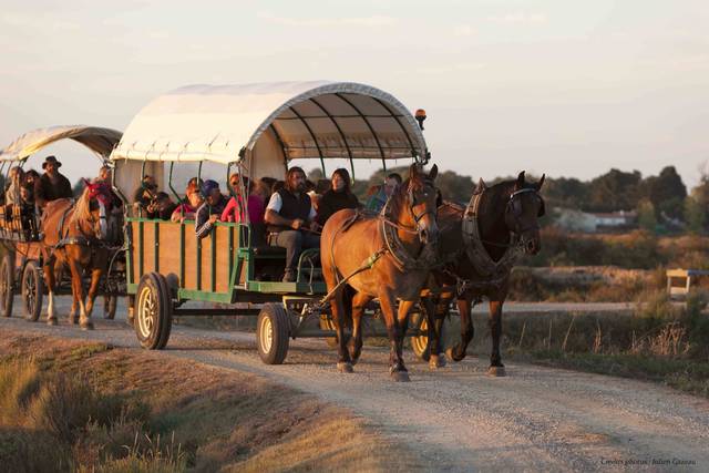 Chariot Groupe
